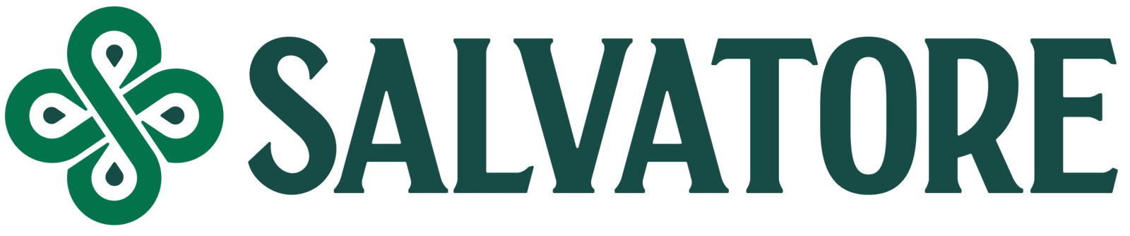 LOGO SALVATORE
