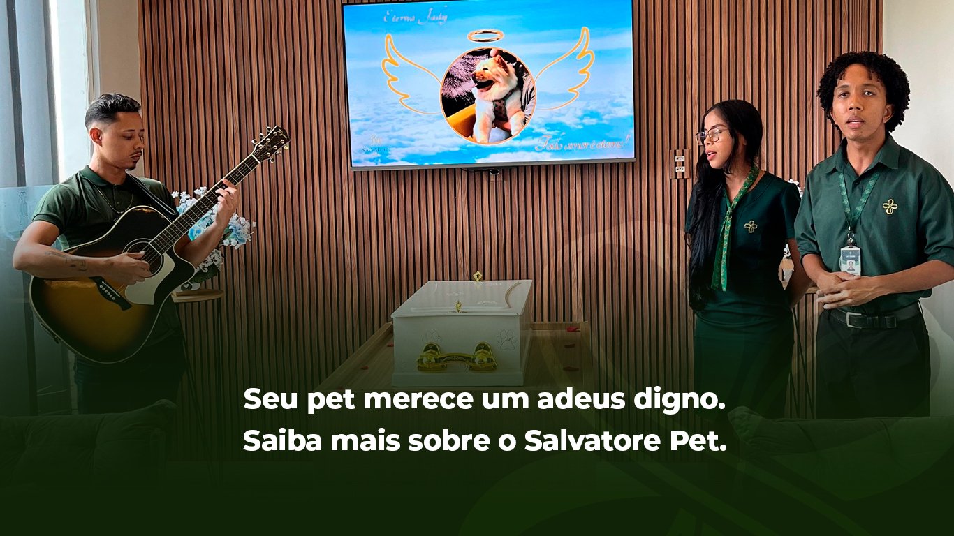 Seu pet merece um adeus digno. Saiba mais sobre o Salvatore…