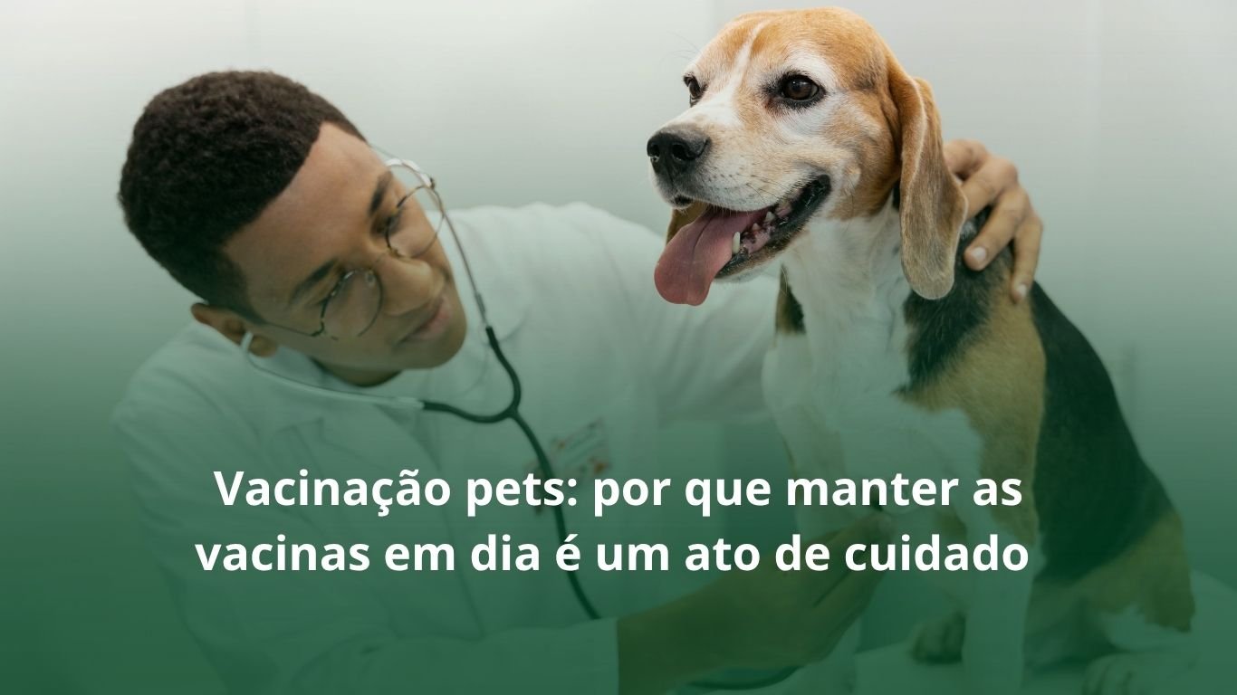 Vacinação dos pets: por que manter as vacinas em dia é&hellip;