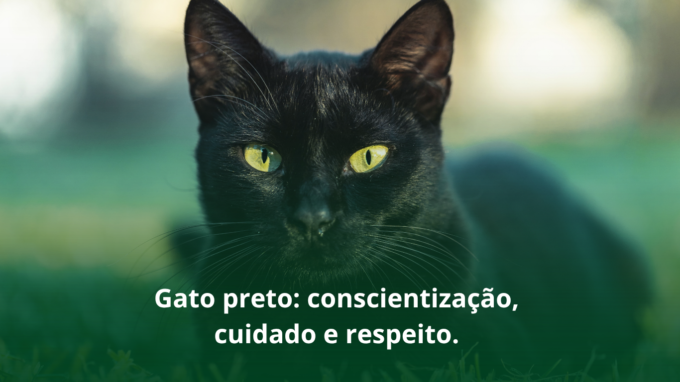 GATO PRETO: CONSCIENTIZAÇÃO, CUIDADO E RESPEITO 