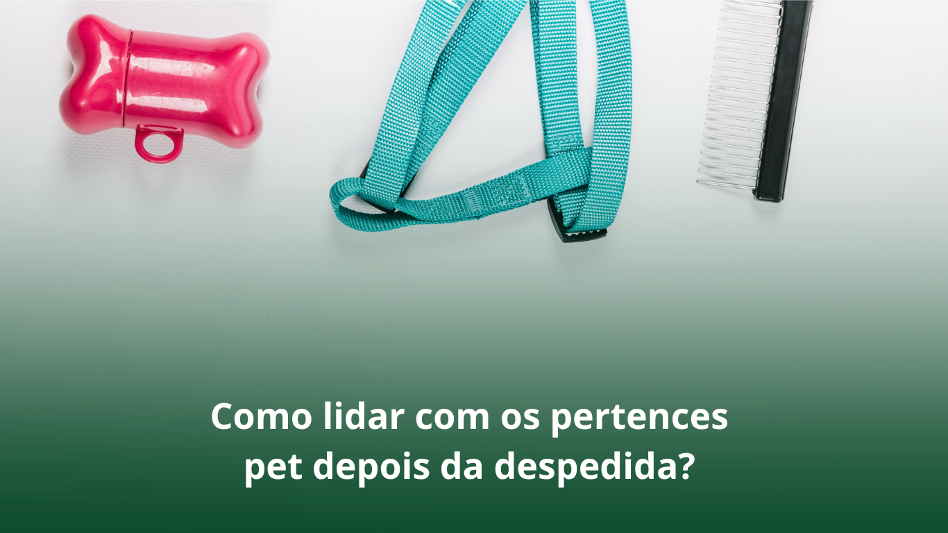 COMO LIDAR COM OS PERTENCES PET DEPOIS DA DESPEDIDA? 